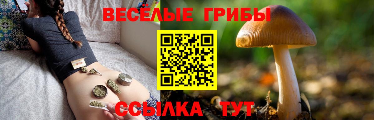 Иваново  Галлюциногенные грибы ЛСД  Вход с VPN 